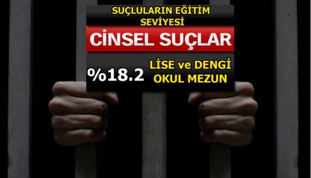 Türkiye'de En Çok İşlenen Suçlar 26