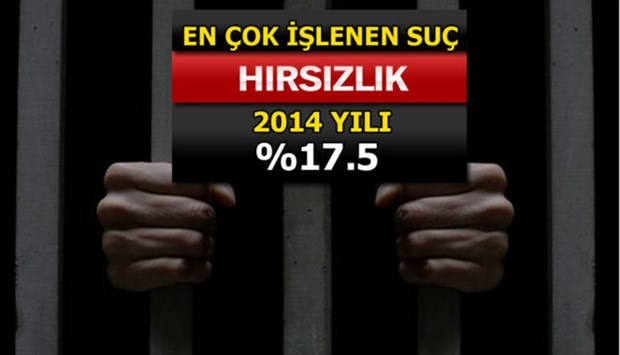 Türkiye'de En Çok İşlenen Suçlar 9