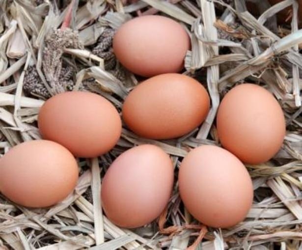 Beyaz ve kahverengi yumurta arasındaki fark! 8