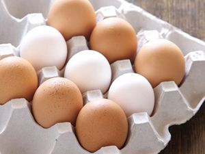 Beyaz ve kahverengi yumurta arasındaki fark!