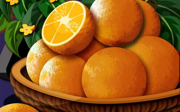 Portakalın Kabuğunu Sakın Atmayın 11