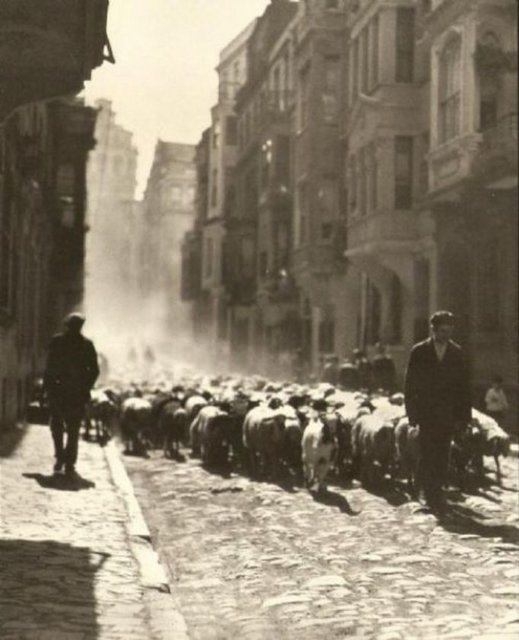 1900'lü Yılların Görmediğiniz İstanbul'u 84