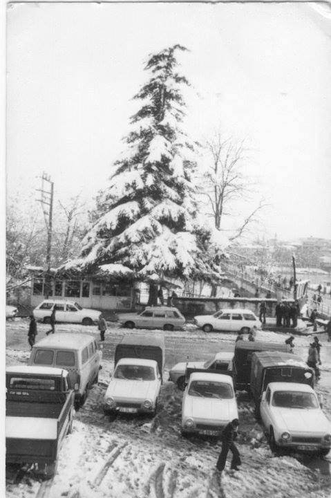 Bir Zamanlar Ulaşım Böyle Yapılıyordu 37