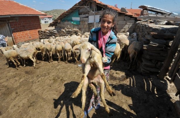 "Çoban Kız" Balkan Şampiyonu Oldu 9