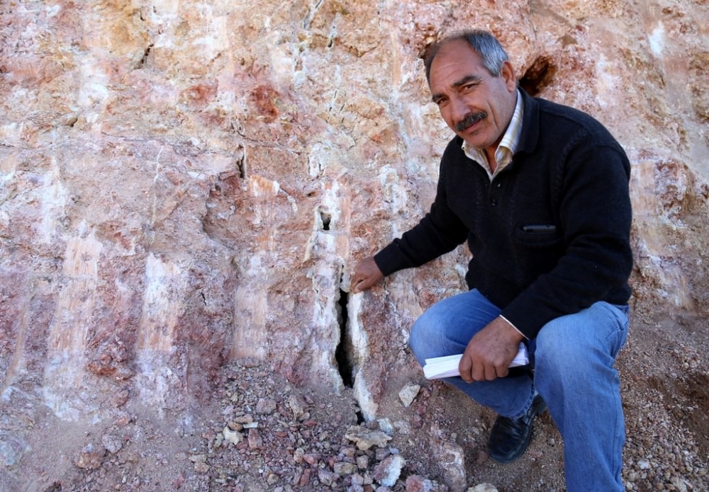 Diyarbakır'daki Mağarada Kafatası Ve Kemik Bulundu 10
