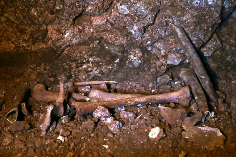 Diyarbakır'daki Mağarada Kafatası Ve Kemik Bulundu 5