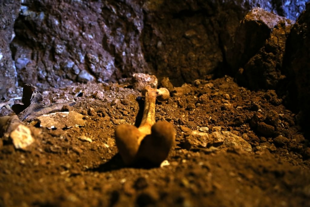 Diyarbakır'daki Mağarada Kafatası Ve Kemik Bulundu 7