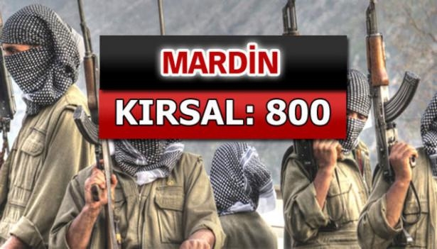 İşte PKK'lı Hainlerin İl İl Dağılımı 51