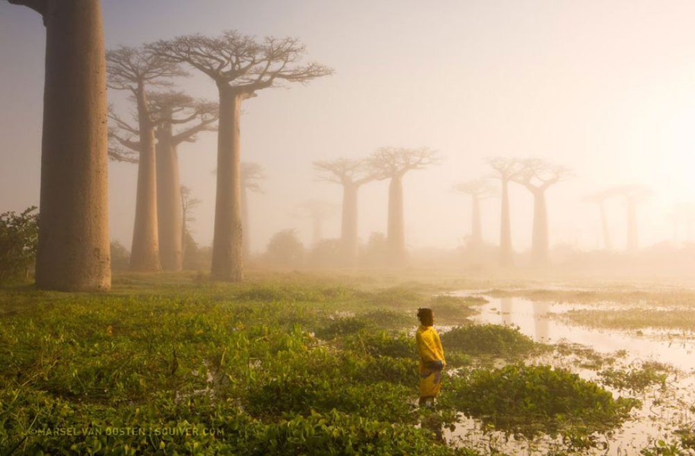 National Geographic'ten 2015'in En Güzel Fotoğrafları 6