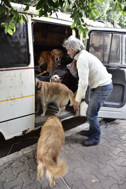 Köpekleri Sanayideki Hırsızlıkları Önledi 8