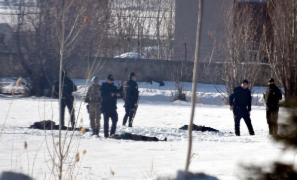 Van'daki Villada 12 PKK'lı Öldürüldü 2