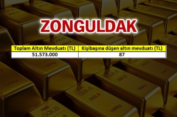 Türkiye'nin Altın Zengini Şehirleri 47