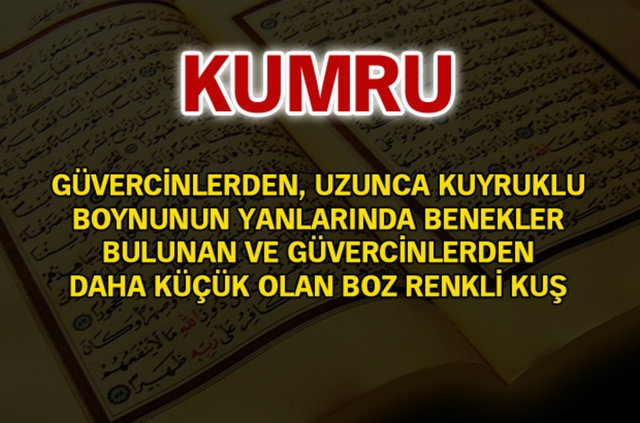 Kur'an'da geçen isimler ve anlamları 74