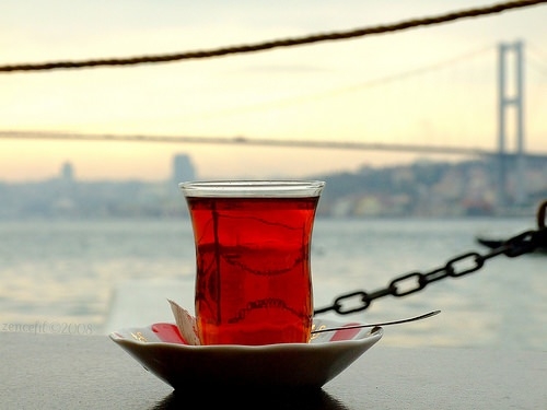 Çayı İçen İlk Türk Kim? 13