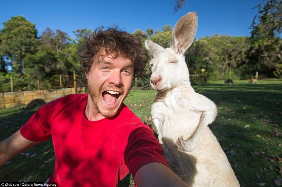 Hayvanlar ile selfie çekilen adam 12