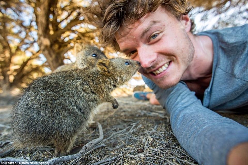 Hayvanlar ile selfie çekilen adam 14