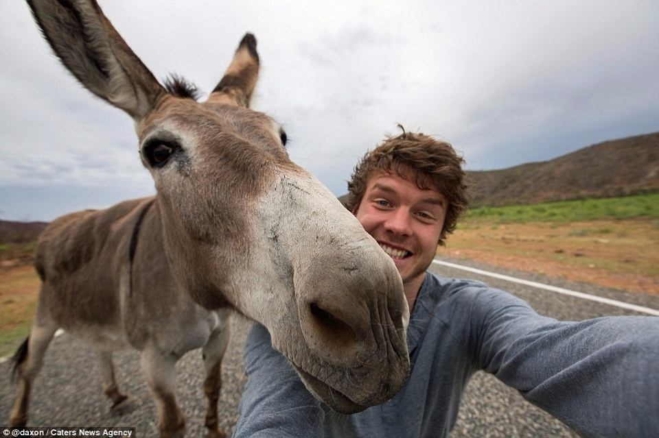 Hayvanlar ile selfie çekilen adam 15