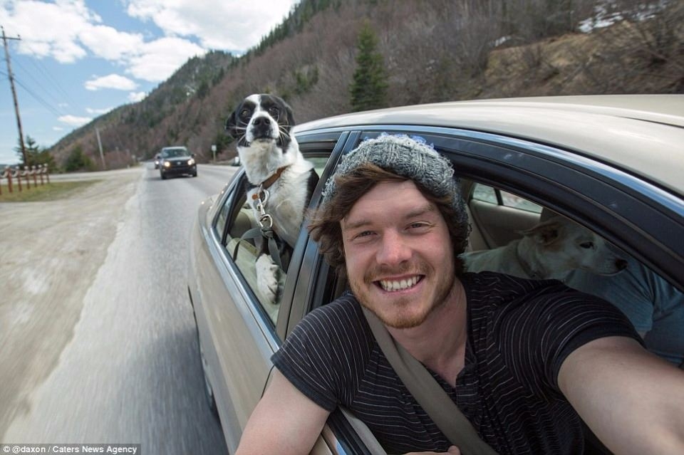 Hayvanlar ile selfie çekilen adam 16