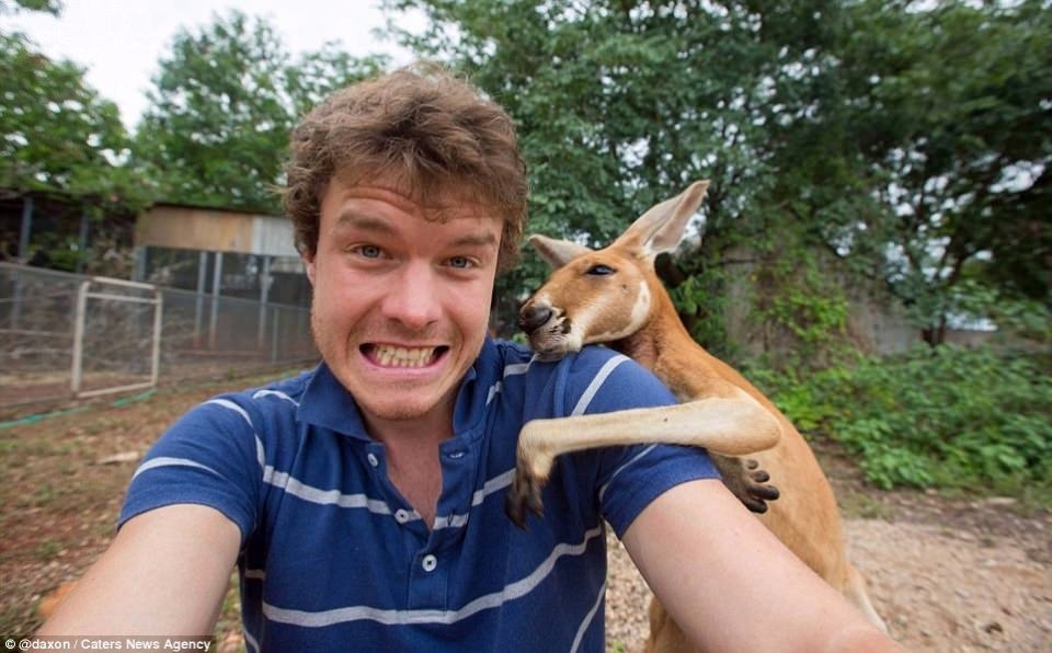 Hayvanlar ile selfie çekilen adam 20