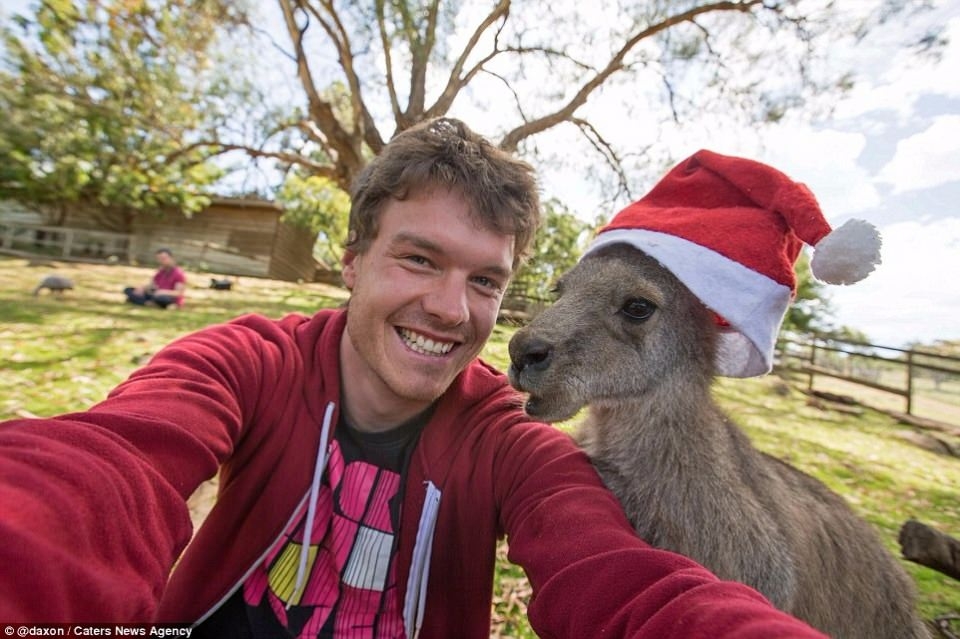 Hayvanlar ile selfie çekilen adam 26
