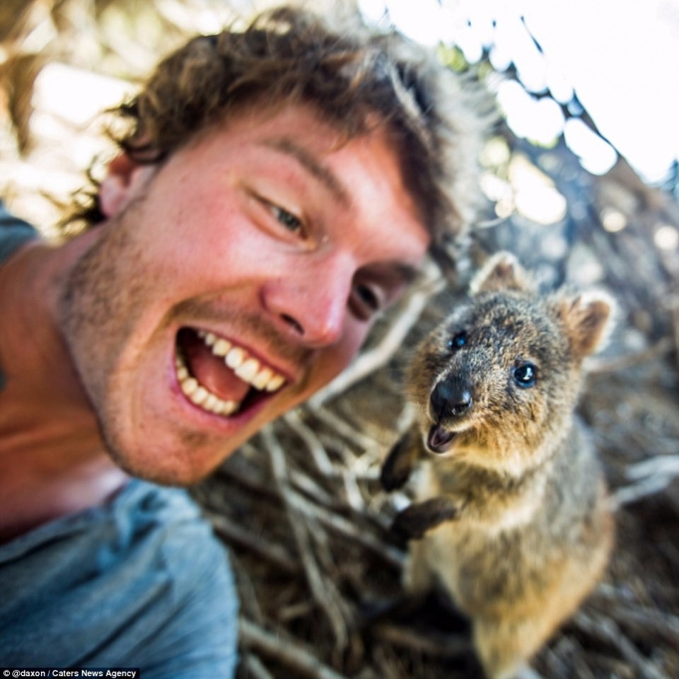 Hayvanlar ile selfie çekilen adam 30