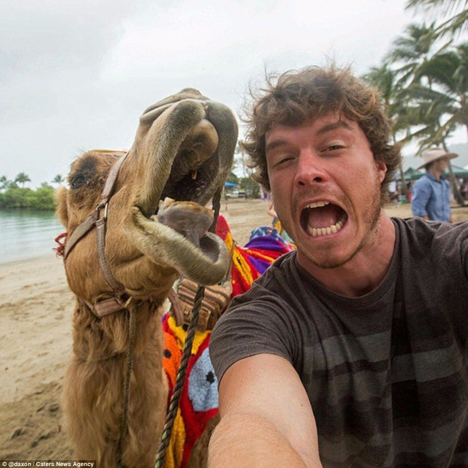 Hayvanlar ile selfie çekilen adam 5