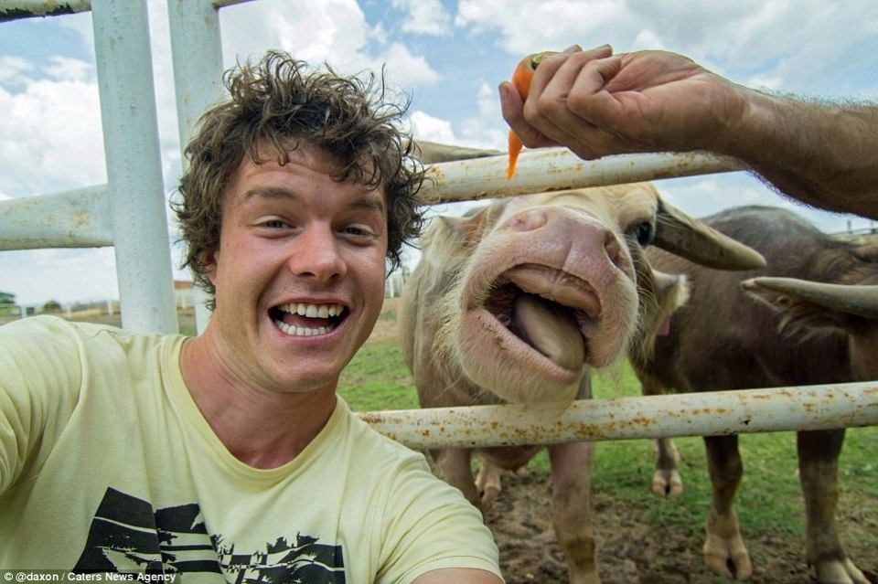 Hayvanlar ile selfie çekilen adam 8