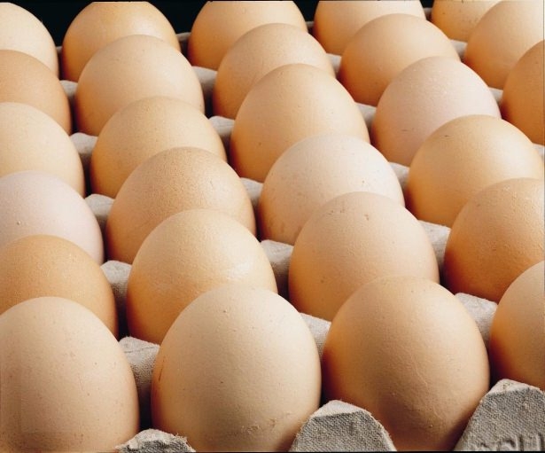 Yumurta hakkında ilginç bilgiler 10