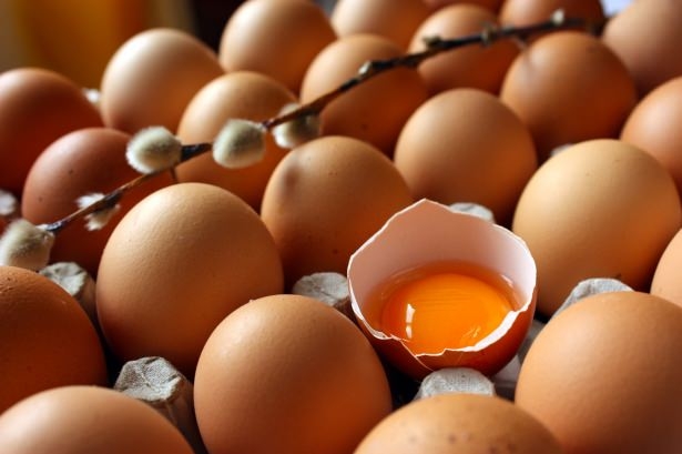 Yumurta hakkında ilginç bilgiler 7