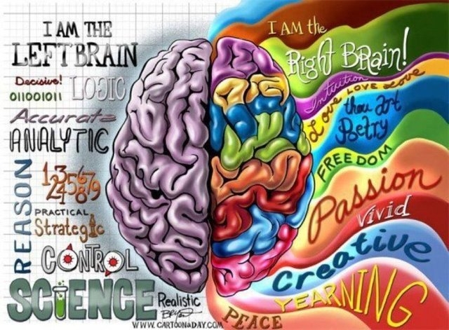 Sol ve sağ beyin çalışırsa ne olur? 4
