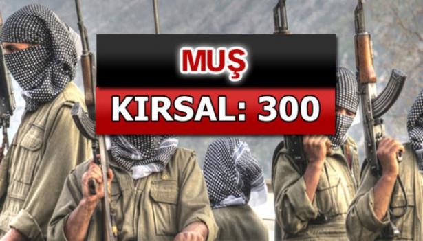 İşte PKK'lı teröristlerin il il dağılımı 55