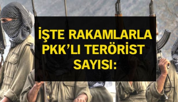 İşte PKK'lı teröristlerin il il dağılımı 78