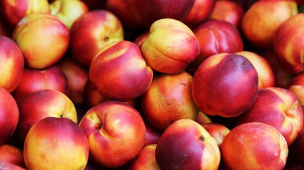 Hangi meyve hangi hastalığa iyi geliyor? 31