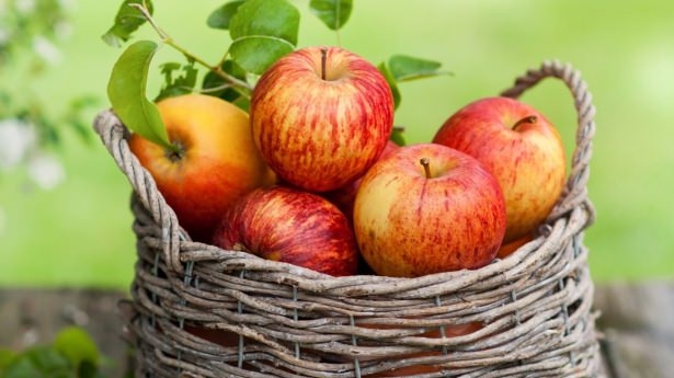 Hangi meyve hangi hastalığa iyi geliyor? 36