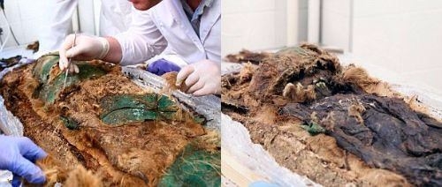 Arkeologları şaşırtan 800 yıllık mumyanın sırrı! 7