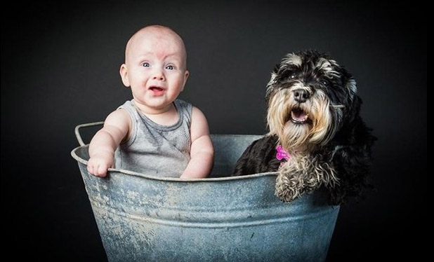 Bebek ve köpeklerin gülümseten dostluğu 1