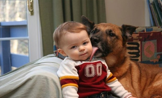 Bebek ve köpeklerin gülümseten dostluğu 13