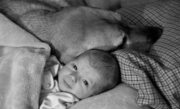 Bebek ve köpeklerin gülümseten dostluğu 16
