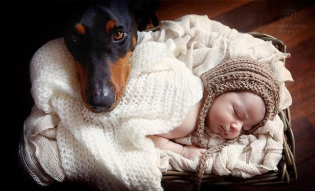 Bebek ve köpeklerin gülümseten dostluğu 21