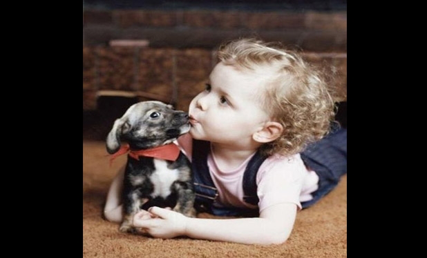 Bebek ve köpeklerin gülümseten dostluğu 24