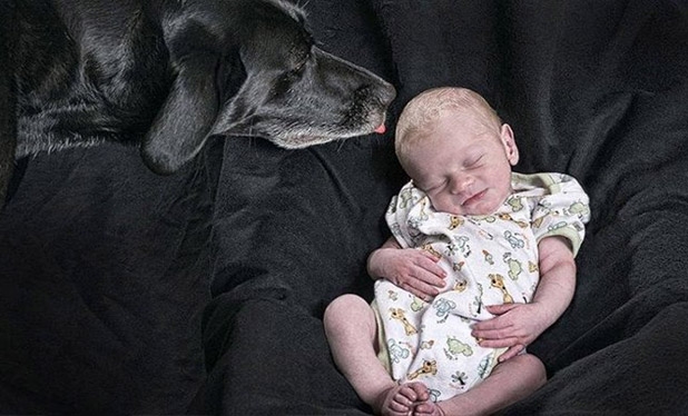 Bebek ve köpeklerin gülümseten dostluğu 35