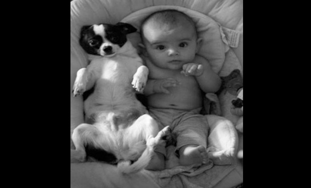 Bebek ve köpeklerin gülümseten dostluğu 8