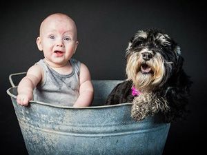 Bebek ve köpeklerin gülümseten dostluğu