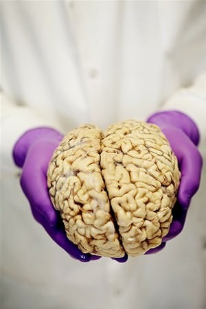 Burası bir beyin bankası! 6