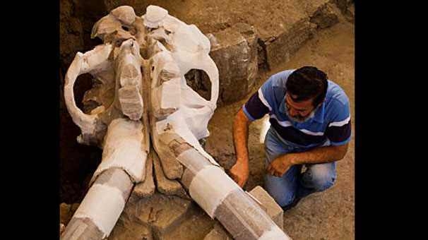 14 bin yaşında mamut keşfedildi 3