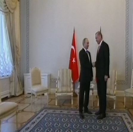 Cumhurbaşkanı Erdoğan, Putin ile bir araya geldi 1