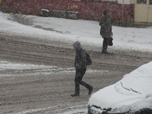 Güne böyle uyandılar!