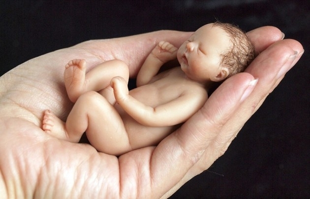 Yeni doğmuş bebeklerin minyatür heykelleri şaşırtıyor 2