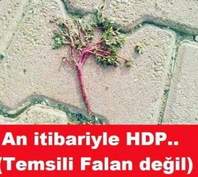 HDP'li Milletvekillerinin tutuklanması ile dalga geçtiler 2