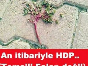 HDP'li Milletvekillerinin tutuklanması ile dalga geçtiler